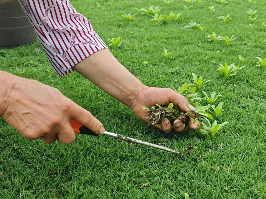 萬豪集團(tuán)匠心助力，6月齊聚重慶龍興足球場(chǎng)為國足吶喊助威！